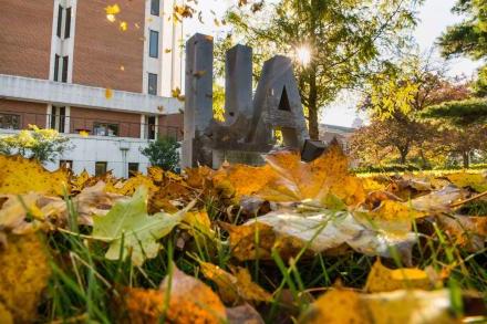 AU statue with fall leaves