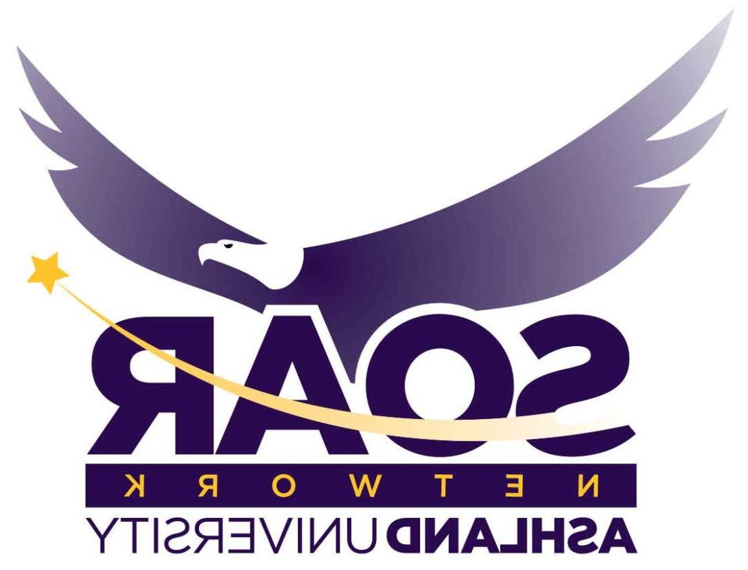 SOAR Network logo